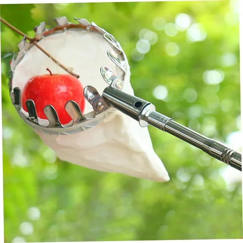 Vista 4 de Recogedor de manzanas de acero inoxidable de 10 pies con mango telescópico, recolector de frutas, herramienta para recoger frutas con poste