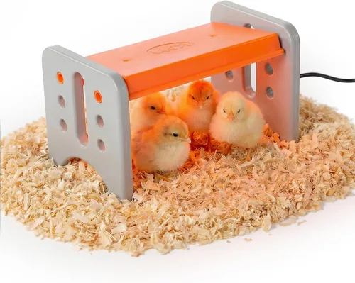 K&H Pet Products Calentador de pollos para patitos de pollos, placa de calefacción ajustable para cajas de cría, calienta hasta 15 pollos,