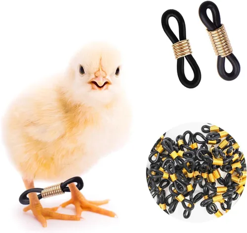 50 unidades de bandas de pollo de pierna de bebé, tirantes ajustables para reparación de piernas de Spraddle suministros de cuidado de aves de