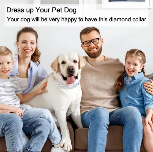 Vista 2 de Cadena de metal con diamantes para perros con hebilla segura, collares para mascotas para perros grandes y medianos