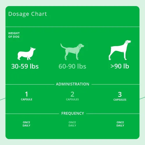 Vista 4 de Eicosa3FF SnipCaps Omega 3 cápsulas de ácidos grasos libres para perros, grandes, 120