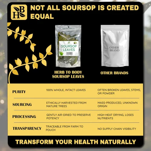 Vista 4 de Herb To Body Hojas de guanábana – 1.76 oz, aproximadamente 80 hojas secas de guanábana graviola para el té, té de hierbas de hojas sueltas