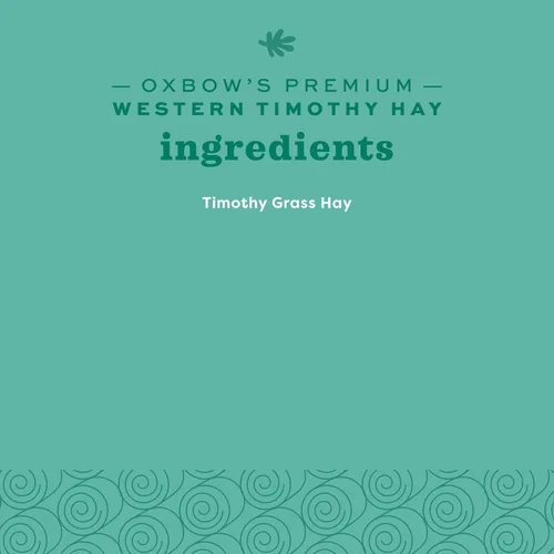 Vista 12 de Oxbow Western Timothy Hay, heno de conejillo de indias, suministros para conejitos de mascotas pequeñas, hierba natural para conejillo de indias