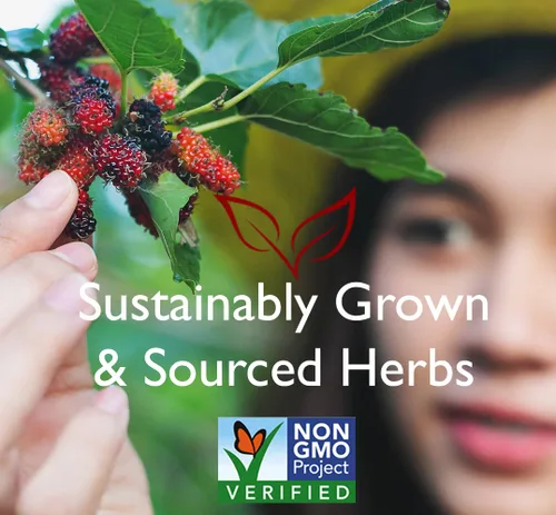 Vista 3 de Bravo Tea Té de hierbas para el crecimiento del cabello, sin cafeína, 20 bolsas de té