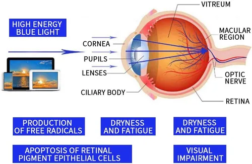 Vista 4 de Suertree Reading Glasses Blue Light Blocking Eyewear Reading Aids Anti Blue Readers Eyeglasses for Women Men