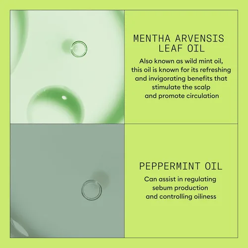 Vista 7 de Nioxin System 2 - Acondicionador de terapia para el cuero cabelludo con aceite de menta, trata el cuero cabelludo seco, proporciona control