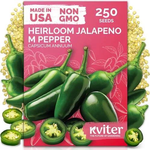 Vista 7 de KVITER 30 semillas de pimiento picante de chile cobra negro (Capsicum Annuum) – Semillas de herencia de pimiento de cabras, semillas de jardín