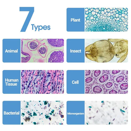 Vista 5 de 30 diapositivas de microscopio con muestras para niños, diapositivas de microscopio preparadas para microbiología infantil, diapositivas de vidrio