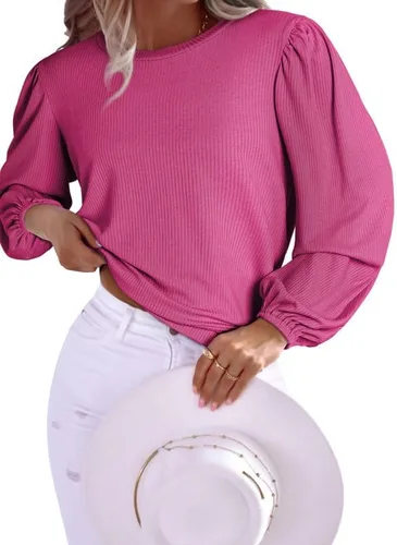 SHEWIN Women's Crewneck Long Sleeve Womens Tops Knit T Shirts Sweatshirts for Women