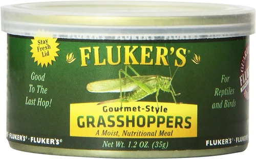 Vista 13 de Fluker's Alimento enlatado gourmet para reptiles, peces, pájaros y animales pequeños, cucarachas pequeñas Dubia, 1.2 oz