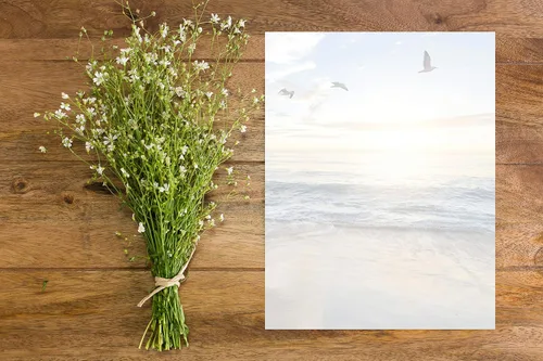 Vista 3 de Papelería escénica Naturaleza - Paquete de 48