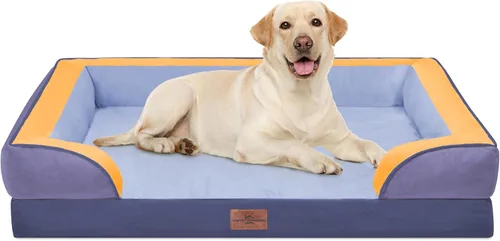 Vista 236 de Comfort Expression - Cama ortopédica para perros pequeños, 20 x 14 pulgadas, cama impermeable y de apoyo de espuma con cojines removibles, sofá