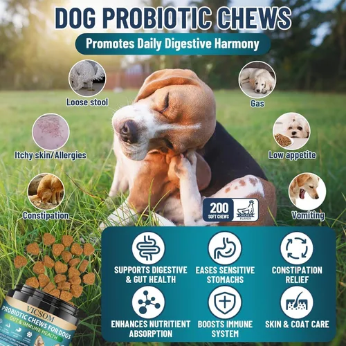 Vista 2 de Probióticos para perros, 200 probióticos suaves masticables para perros, salud digestiva, salud intestinal y sistema inmunológico, con 6 probióticos