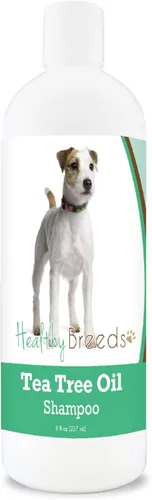 Vista 4 de Healthy Breeds Chow Chow Champú de aceite de árbol de té, formulado para pieles secas e irritadas, reduce la caspa, aroma de gaulteria, 8 onzas