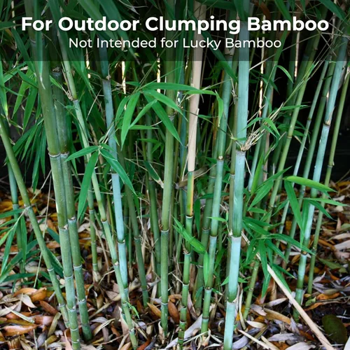 Vista 4 de Bamboo Special 12 Meses Control Release 13-5-11 Fertilizante con alto contenido de nitrógeno - Paquete de 5 libras