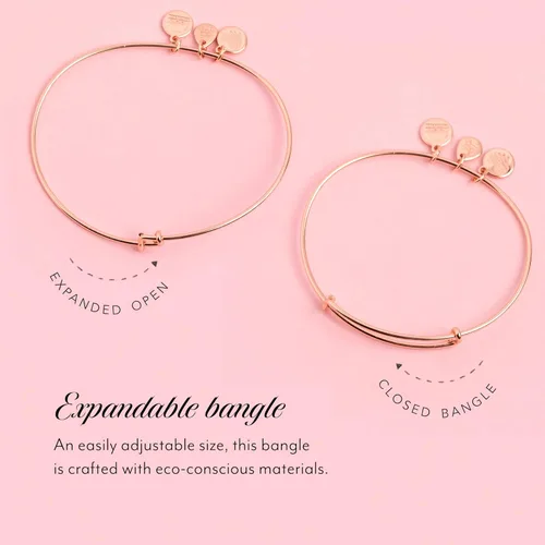 Vista 3 de Alex and Ani Divine Guides - Juego de joyas de cruz para mujer collar y brazalete a juego acabado rafaeliano