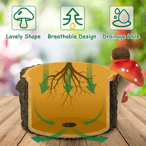 Vista 4 de Macetas para Suculentas con Forma de Erizo con Orificio de Drenaje, Macetas para Plantas de Interior/Cactus/Suculentas, Maceta de Interior Regalo