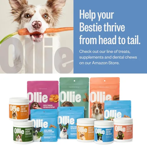 Vista 8 de Ollie Masticables dentales para perros extra pequeños, 12 onzas, aliento fresco, golosinas de limpieza de dientes, palos para el cuidado bucal