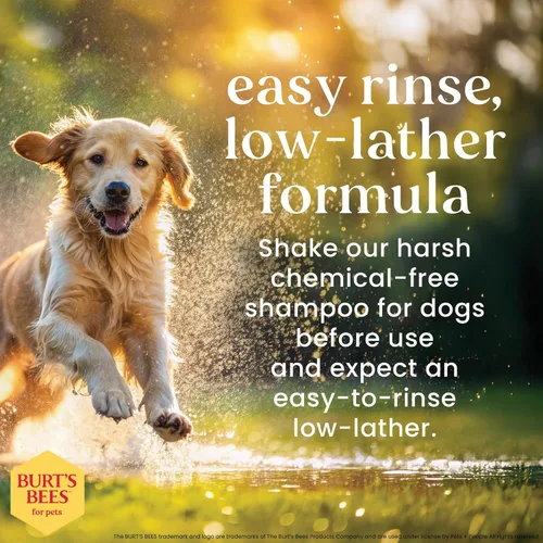Vista 3 de Burt's Bees for Pets Champú desodorizante para perros con hamamelis, fórmulas de origen 95% natural, champú desodorizante para perros, suave