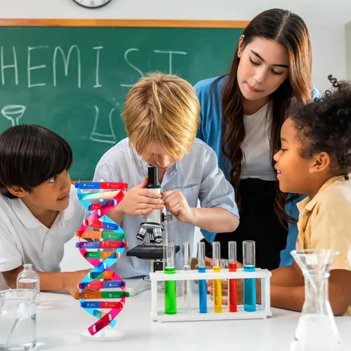 Vista 5 de NUOBESTY Kit de modelo de ADN, modelo de estructura de doble hélice, 13 pulgadas para ensamblar ayuda docente de biología con soporte