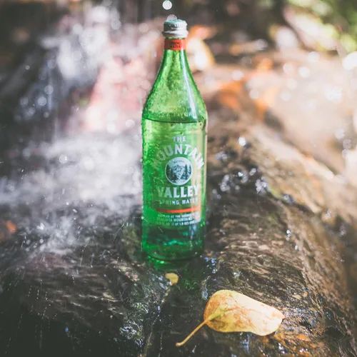 Vista 2 de THE MOUNTAIN VALLEY Agua de manantial de vidrio natural pura fina de 16.9 fl oz