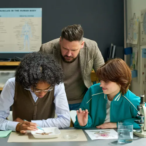 Vista 2 de Anatomy Lab Espécimen de perca para disección, para aulas de biología, inyección simple de 7 a 9 pulgadas, paquete al vacío de 1